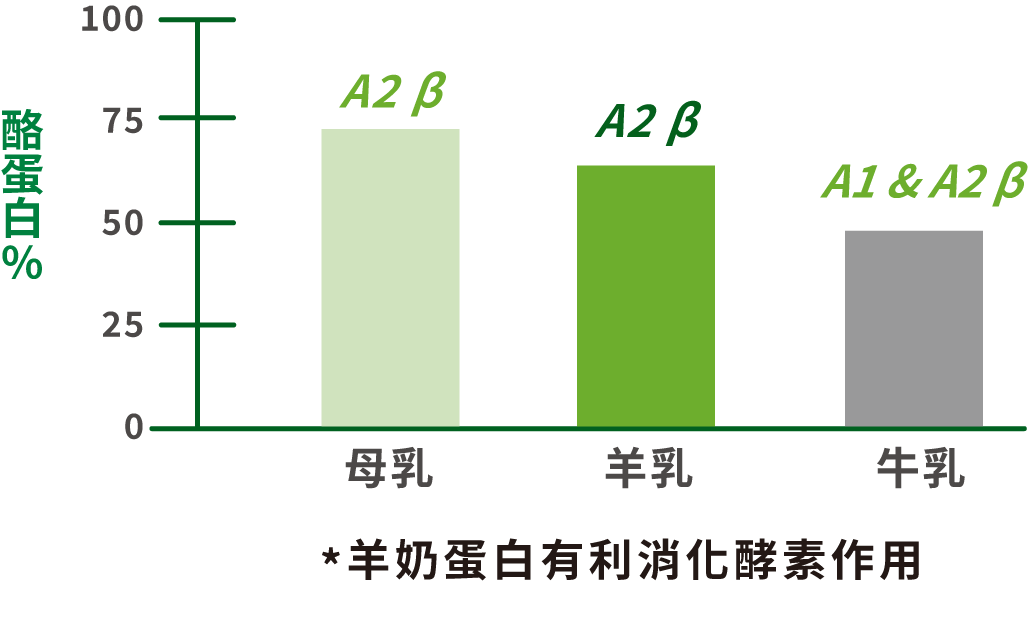 *羊奶蛋白有利消化酵素作用