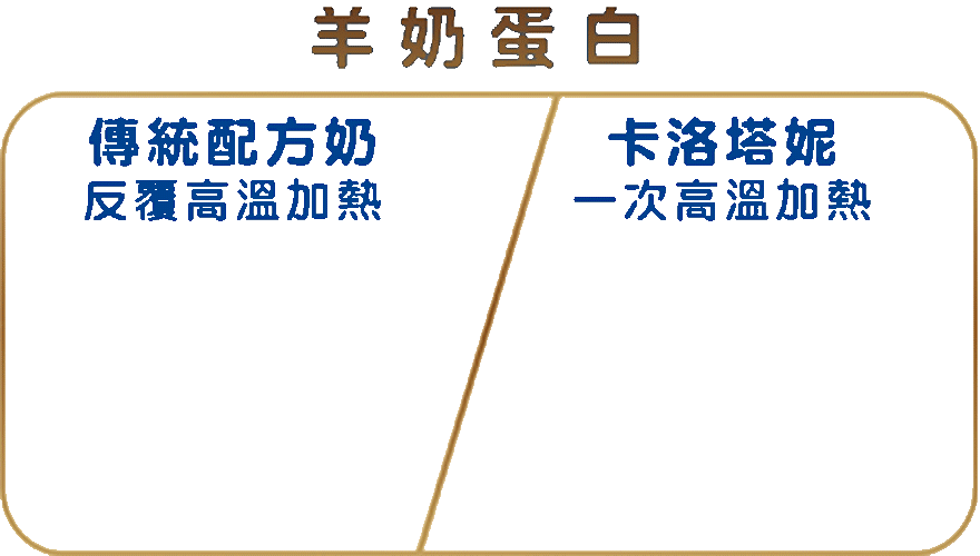 羊奶蛋白