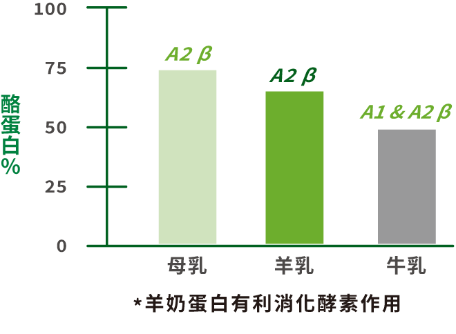 *羊奶蛋白有利消化酵素作用