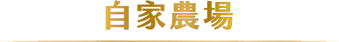 自家農場